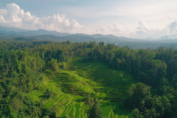 Obraz premium A scenic aerial view of terraced paddy fields surrounded by mountains with copy space. Bright daylight. Majestic nature background. 