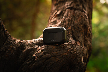 Earpods product shot in forest golden light canopy