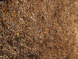 Fototapeta premium Texture of wooden sawdust of large fraction. An ecofriendly coating on the playground. Wood texture background