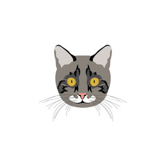 Cat Face icon vector design on white background.