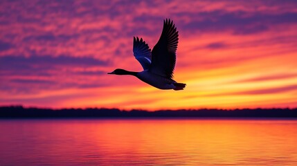 Obraz premium Majestic Goose Soaring at Sunset Over Calm Lake