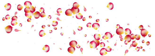 Pink_Petals_Rose_Flying_70.eps