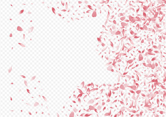 2400x1700grad5__Pudra_sakura2_01.eps