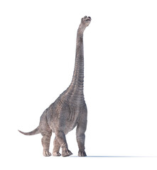 Large dinosaur walking on a plain background during a prehistoric period