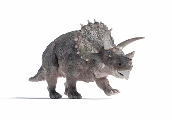 Illustration of a triceratops dinosaur