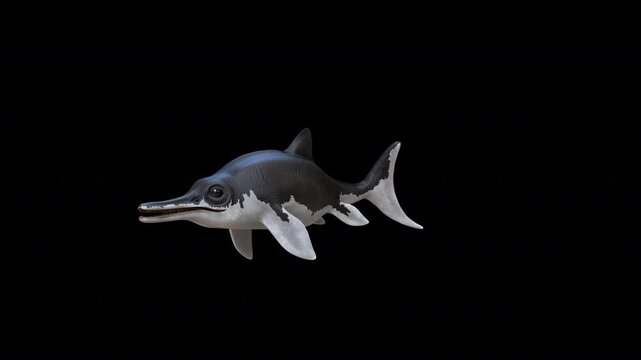 Ichthyosaurus Communis 3D Video Animation