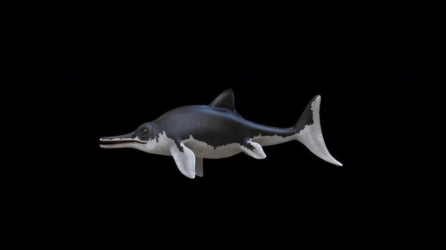 Ichthyosaurus Communis 3D Video Animation