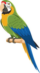 Parrot bird cartoon character design, cartoon, vector, blue, illustration