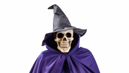Spooky Skeleton Witch Halloween Costume Purple Robe Grey Hat