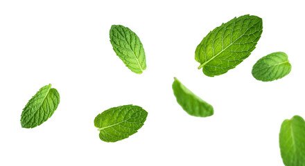 Naklejka premium Flying mint leaves