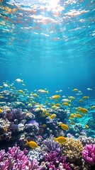 Fototapeta na wymiar A group of tropical fish swimming in the crystal-clear waters of a Seychelles coral reef during low tide , tropical fish, underwater life