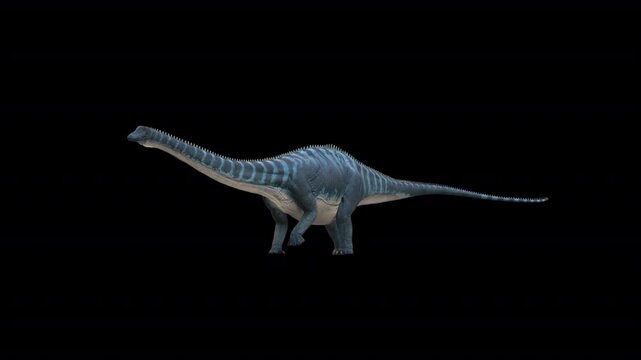 Diplodocus Dinosaur 3D Video Animation