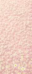 Background of delicate white daisy flowers on a subtle light pink field, pretty, cottagecore, light