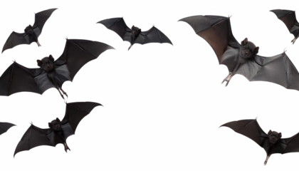 Flying Bats Halloween Night Dark Wildlife Spooky Background