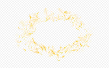 Obraz premium Yellow_petals_transparent_background_600.eps