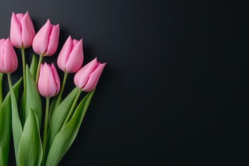 Obraz premium bouquet of pink tulips, with green leaves against a dark background, springtime charm or celebrating Valentine's Day concept, floral delicate background, copy space for text