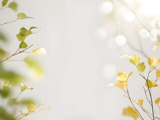 Obraz premium minimal leaf background natural light 