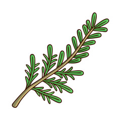 evergreen branch vector icon, christmas vector illustration - simple illustration of aevergreen branch, symbolizing holiday celebrations and festive spirit. christmas flat illustration.
