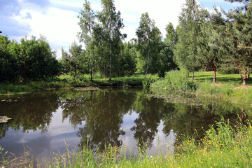 summer in the village on the pond