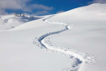 Serene Snowscape Ski Tracks in Winter Wonderland