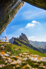 landscape in the mountains