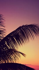 Silhouette of a palm tree against a vibrant sunset sky, creating a serene tropical ambiance.
