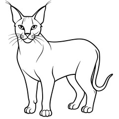 black and white cat cartoon