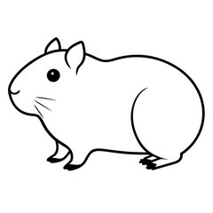 rat on a white background