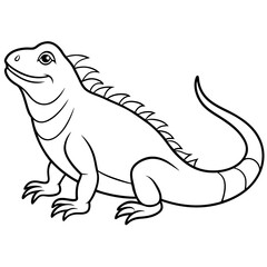 illustration of a iguana