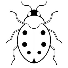 Obraz premium illustration of a ladybug