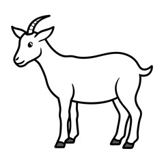 goat isolated on white