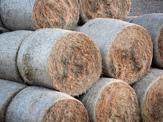 hay and straw rolled into round bales