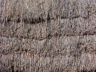 Fragment of an ancient thatched roof. Roofing of a building made of natural material. Texture