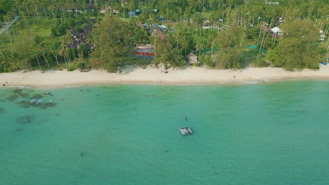 Aerial view exotic tropical white sand beach with coconut pam tree summer vacationa background