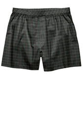 3d illustration plaid twill check short for men with brush finish