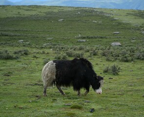 Views in Sichuan Ganzi
