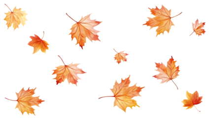 Autumn leaves on transparent background on white background.AI GENERATED