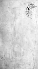 Obraz premium Cracked cement background