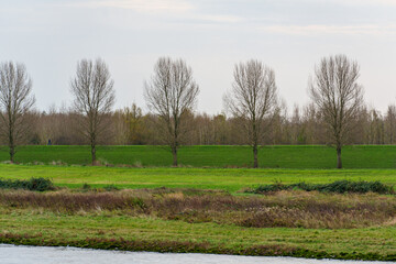 Obraz premium Auf der Waal bei Nijmegen