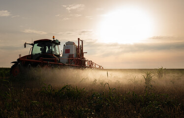 Fototapeta premium Tractor sprays field with pesticides in summer