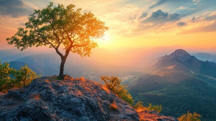 Fototapeta premium Majestic Tree at Sunrise Over Valley Landscape