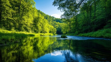 Fototapeta premium A serene river winding through a lush forest, the water reflecting the vibrant green trees and blue sky