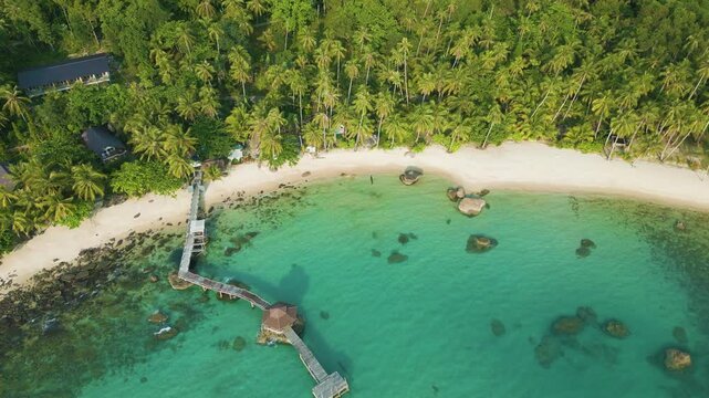 Aerial view exotic tropical white sand beach with coconut pam tree summer vacationa background