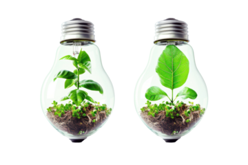 Innovative light bulb designs showcase eco-friendly plants thriving in sustainable environments