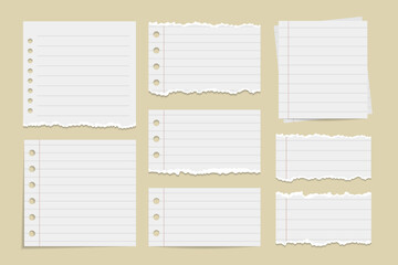 A Collection of Torn White Paper Notes for a Social Media Poster Banner