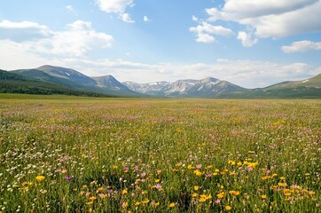 Fototapeta premium Vibrant Wildflower Field with Mountain Backdrop