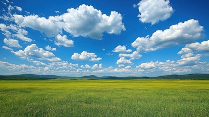 Fototapeta premium Serene Summer Meadow Under a Vast Blue Sky