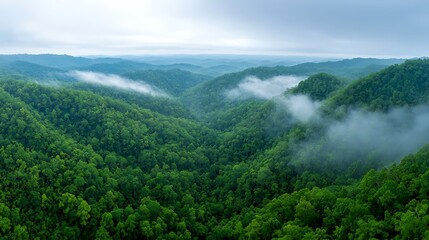 Obraz premium Wild animals in nature's lush environment aerial view of green hills and plants
