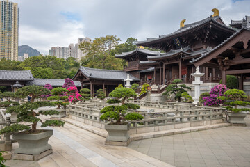 Fototapeta premium A view of a serene temple garden with bonsai trees, stone pathways, and a pond in front of a traditional Chinese temple with a pagoda roof of Chi Lin Nunnery, Hong Kong