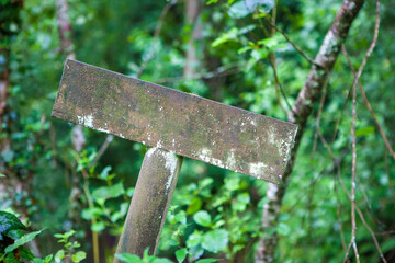 Wooden sign pole deep in the forest covered with lichens
